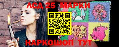 мдпв Новозыбков