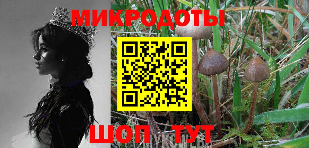 Троицк  Галлюциногенные грибы GOLDEN TEACHER  Вход с VPN 