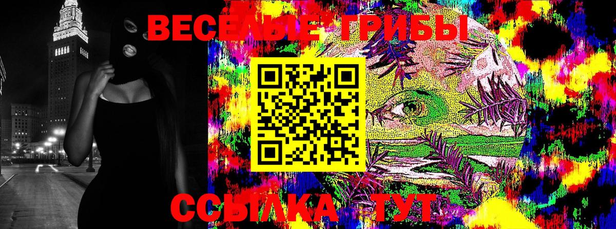 Псилоцибиновые грибы Psilocybine cubensis Троицк